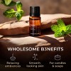 Gya Labs Melissa Essential Oil - 0.34 Fl Oz - Natural Melissa Oil - 3 of 4