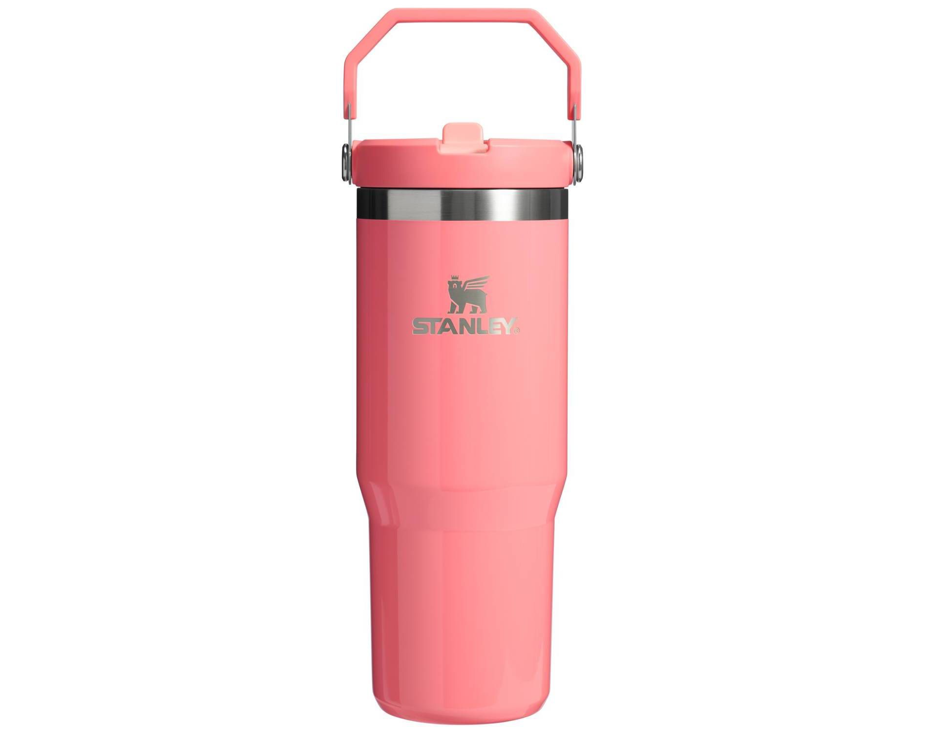 Stanley 30 oz Stainless Steel IceFlow Flip Straw Tumbler - e.l.f