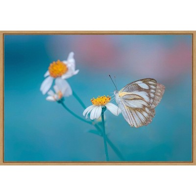 23" x 16" Butterfly and Daisy Flowers by Adnan Hidayat P Framed Wall Canvas - Amanti Art