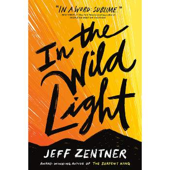 In the Wild Light - by  Jeff Zentner (Paperback)