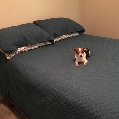 Guest review image 1 of 3, zoom in
