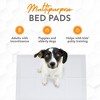 Inspire White Disposable Pet Underpads for Dogs & Cats, Super Absorbent Leak Proof - 2 of 4