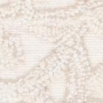 camel/ivory