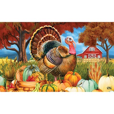 Briarwood Lane Fall Thanksgiving Doormat 30x18 Indoor Outdoor Turkey and Pumpkins For Thanksgiving Doormat