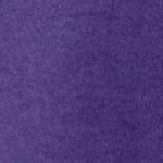 midnight violet