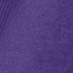 midnight violet