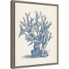 Amanti Art Antique Coral Collection V by Vision Studio Canvas Wall Art Print Framed 16 x 20-in. - 3 of 4