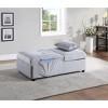 Vynxaria Modern Lift Top Storage Bench with Pull-out Bed 1pc Gray Velvet Tufted Solid Wood Furniture Convertible Chair - 2 of 4