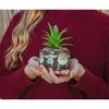 Silver Buffalo Star Wars: The Mandalorian Chibi Grogu Mini Planter with Artificial Succulent - 3 of 4