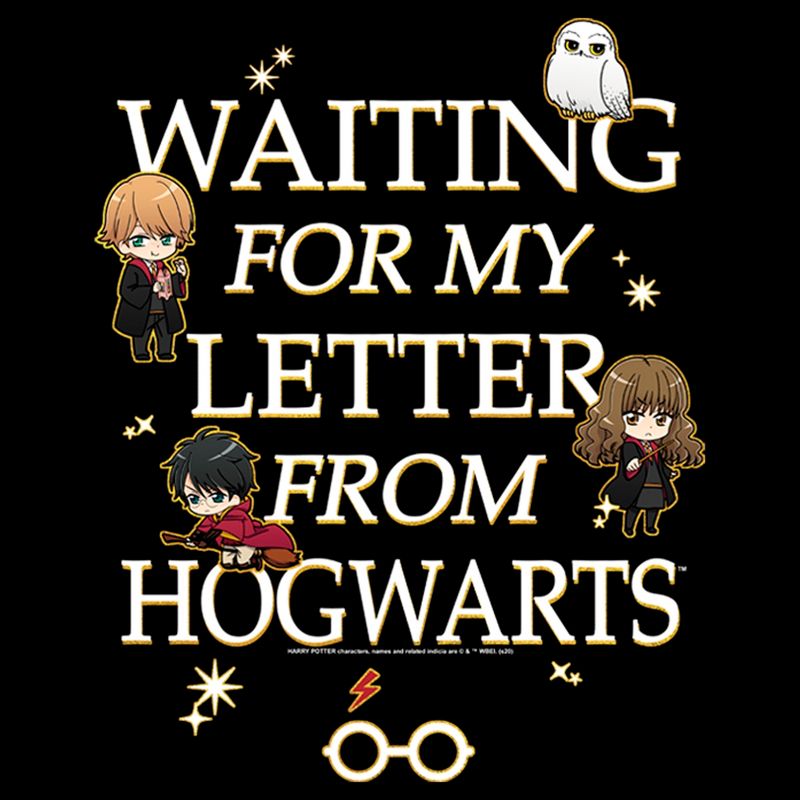 Boy's Harry Potter Letter From Hogwarts T-Shirt, 2 of 6