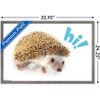 Trends International Cute Hedgehog - Hi! Framed Wall Poster Prints - 3 of 4