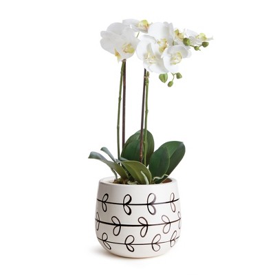 Small Hand-Painted Black Vine Ceramic Outdoor Pot