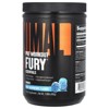 Animal Fury® Essentials, Pre Workout, Blue Raspberry, 1.09 lb (495 g) - 4 of 4