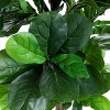 MaseiKar Fiddle Leaf Fig Tree 6ft Tall Artificial Tree in Plastic Pot Fake Ficus Lyrata Plants with 184 Decorative Fiddle Leaves Faux Fig Trees - 2 of 4