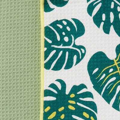 Monstera Green