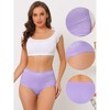 Agnes Orinda Women's Plus Size Stretch Packs Lace High Waist Comfort Briefs - 3 of 4