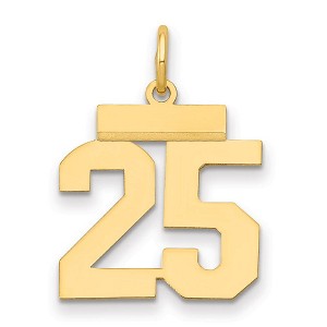Black Bow Jewelry 14k Yellow Gold, Athletic Collection, Small Polished Number 25 Pendant - 1 of 3
