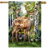 Briarwood Lane Spring House Flag 40x28 For Outdoor Deer in Forest For Spring House Flag - 2 of 4