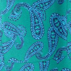 waterfall paisley