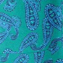waterfall paisley