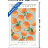 Trends International Reinders: Fruit Market - Valencia Oranges Framed Wall Poster Prints - 3 of 4