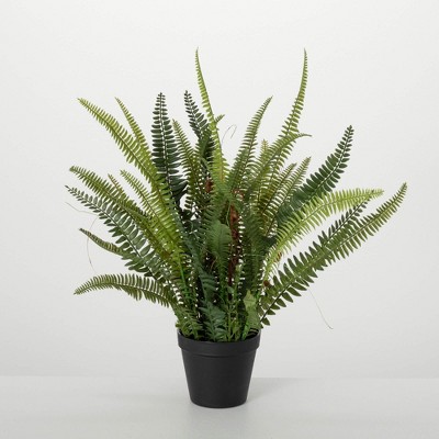 Sullivans Artificial 21" Lush Black-Potted Fern, Green