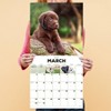 TF Publishing 2025 Wall Calendar 12"x12" Puppies - 4 of 4