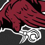 south carolina gamecocks