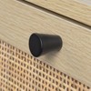 Angel Sar Rattan Shoe Cabinet for Entryway, Slim Shoe Storage Cabinet with 2 Flip Drawers, Natural Wood - 2 of 4