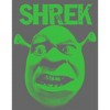 Girl's Shrek Big Face Eyebrow Raised T-Shirt - 2 of 4