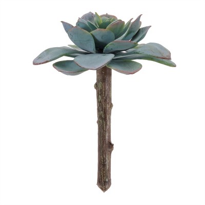 Succulent Plant Pick (Set of 12)