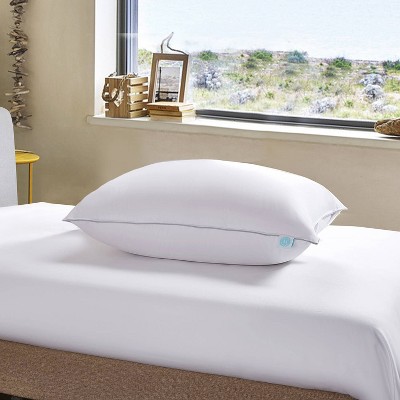 martha stewart foam pillow