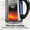 Hamilton Beach 1.7L Digital Kettle 41031 - 2 of 4
