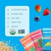 Dino Bars | Sweet Potato Raspberry | Organic Mess-Free Kids Fruit Bars - 4 of 4