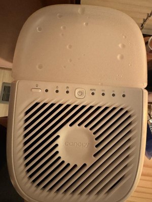 Guest review image 2 of 3, zoom in