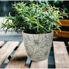 Tierra Garden 7" Round Self-Watering Bamboo Pot - 4 of 4