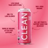 CLEAN Cause - Watermelon Mint Organic Sparkling Yerba Mate Tea - 2 of 4