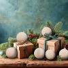 Every Day is Christmas Velvet 50ct 57cm/2.24" Christmas Ornaments, Shatterproof Christmas Tree Ornament Set, Flocking Ball Decorations - 4 of 4