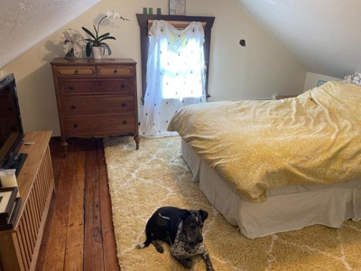 Guest review image 1 of 1, zoom in