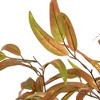 Nearly Natural 5-ft Autumn Wispy Eucalyptus Artificial Fall Tree - 3 of 4