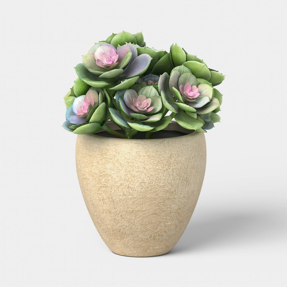 7" Small Artificial Potted Succulent - Threshold™