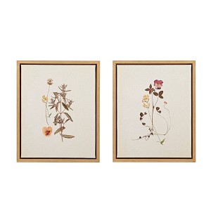 Madison Park 2pc French Herbarium Framed Linen Canvas : Cottage-Inspired, Botanical Digital Art, MDF Composite Frame - 1 of 4