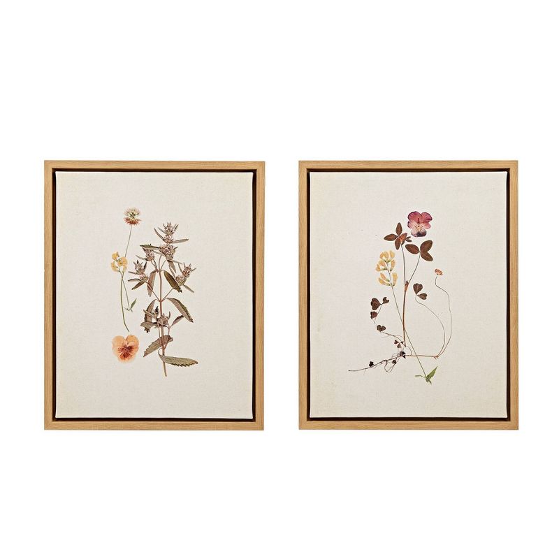 2pc French Herbarium Framed Linen Canvas - Martha Stewart, 1 of 10