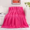 Aoibox Hot Pink Throw Blanket Fuzzy 3D Jacquard Decorative Flannel Fleece Super Soft Plush Cozy Blanket for Couch Sofa Chair Lightweight - 3 of 4