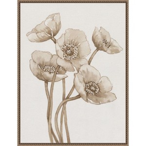 Amanti Art Poppies in Sepia II by Tim Otoole Framed Canvas Wall Art - 1 of 4