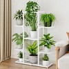 Plant Stand Indoor, Tiered Plant Stand- for Plant Lovers and DIY Enthusiasts, Perfect for Living Room&Balcony&Garden- General Organization - 2 of 4