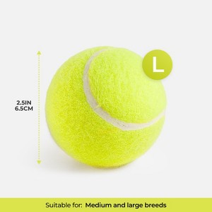 Allforpaws Interactives Maxi Hyper Fetch Automatic Ball Launcher For Large Dogs - 1 of 4