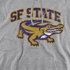 San Francisco State University Official Distressed Primary Adult Pull-Over Hoodie - 2 of 4