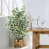 Boersma Artificial Ficus Tree Silk Fake Tree with Pot - Lifelike Foliage & Branches for Indoor/Outdoor Decor Bring timeless beauty to your space - 4 of 4