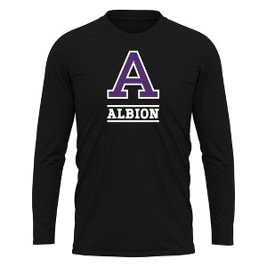 Albion College Adult Sport Long Sleeve Shirt Primary Logo, Athletic Heather - 1 of 4